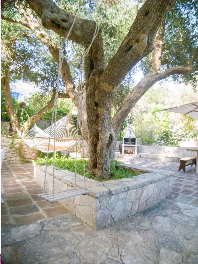 Villa L'Antico Ulivo à Santa Cesarea Terme Extérieur photo