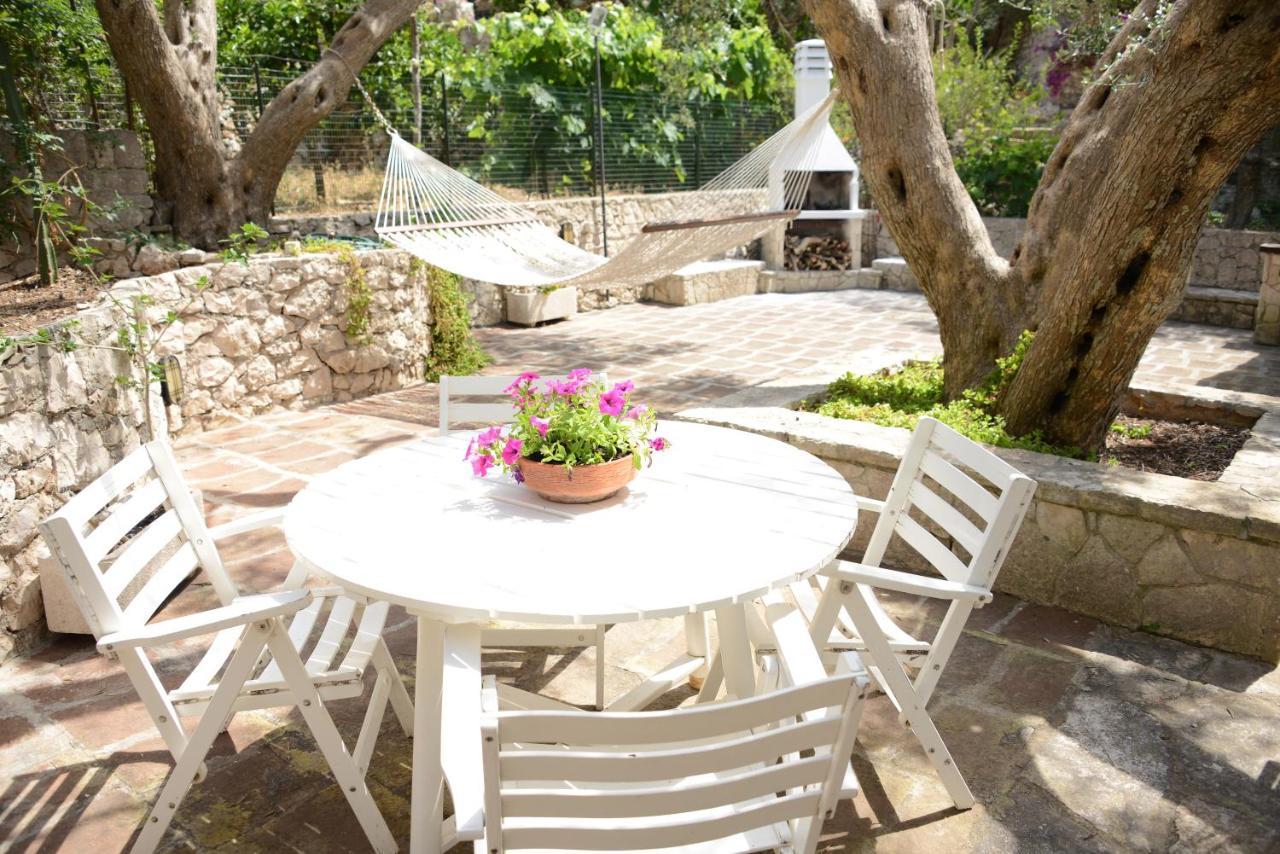 Villa L'Antico Ulivo à Santa Cesarea Terme Extérieur photo
