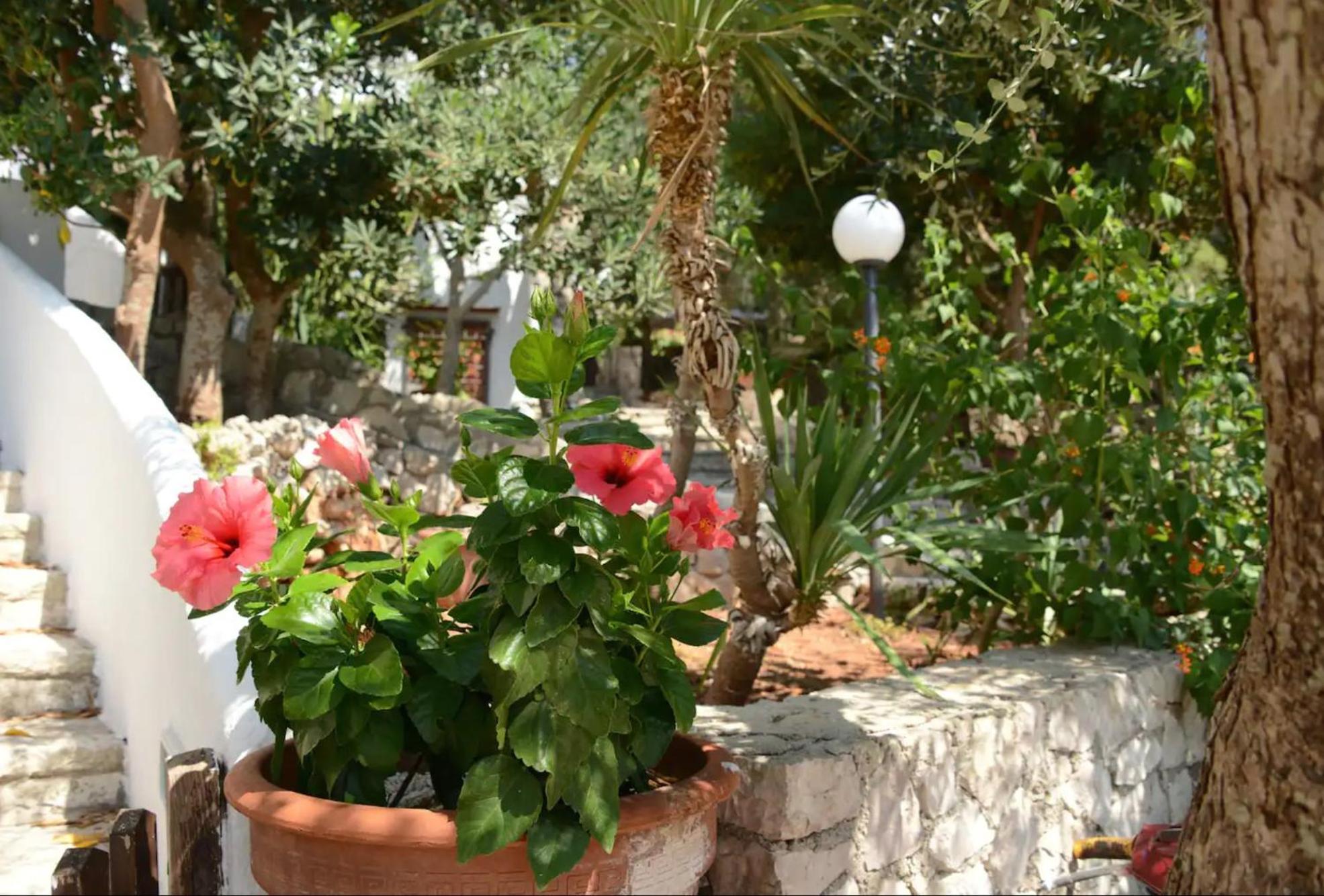 Villa L'Antico Ulivo à Santa Cesarea Terme Extérieur photo