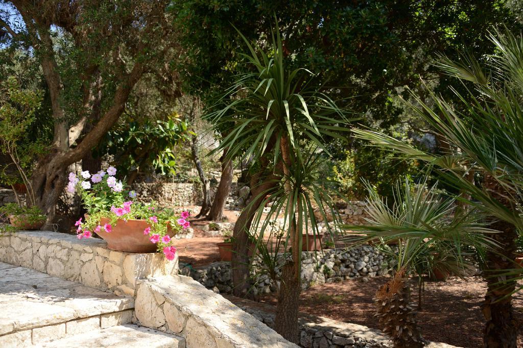 Villa L'Antico Ulivo à Santa Cesarea Terme Extérieur photo